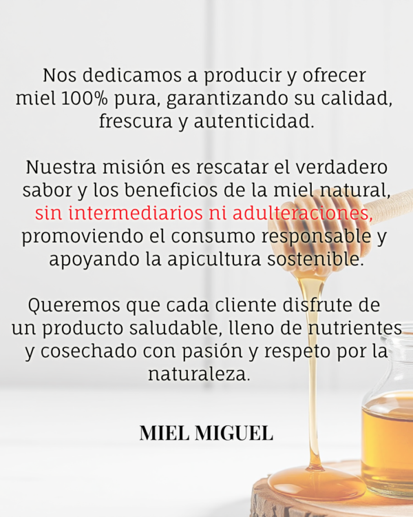 Miel Multiflora 1.4kg - Image 3